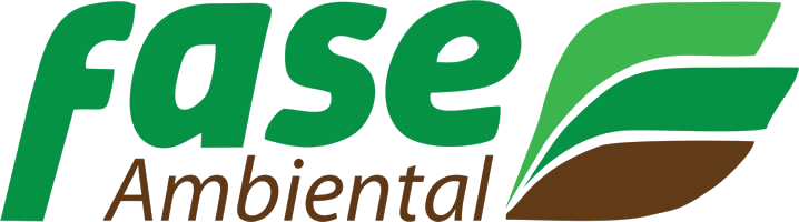 Fase Ambiental